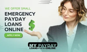 Understanding Payday Loans Online: Your Guide to Quick Emergency Funds